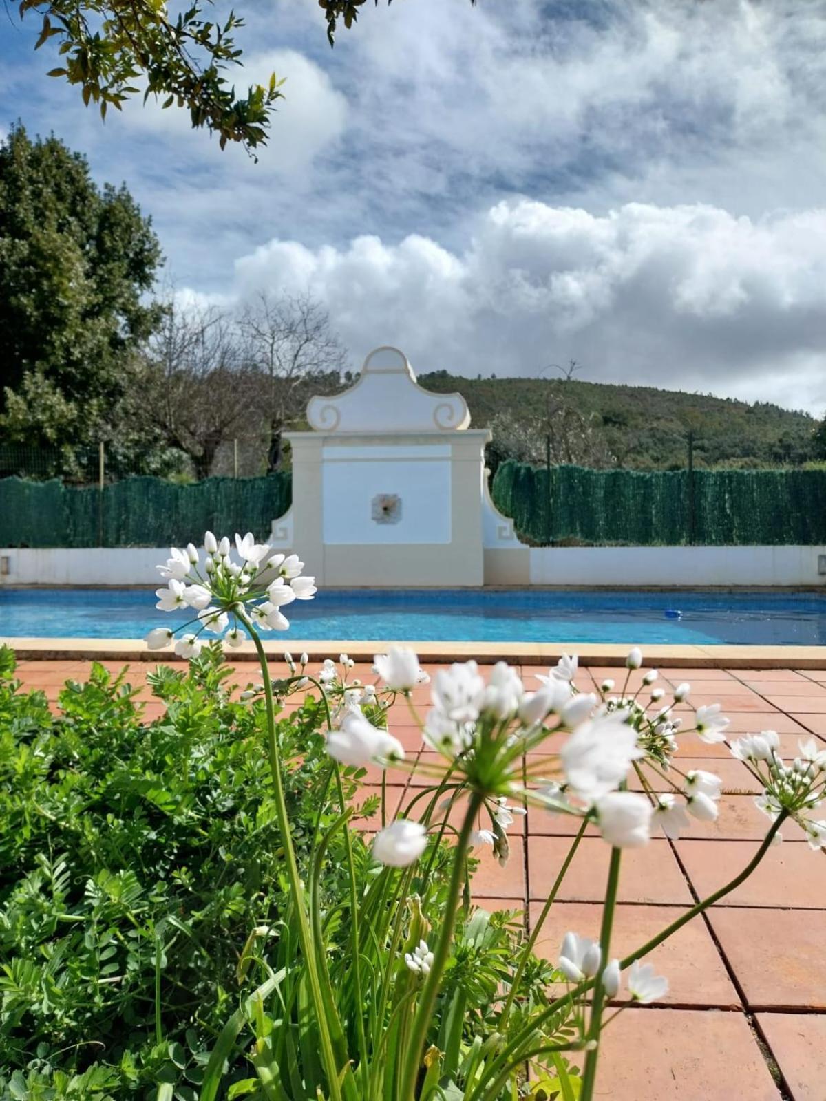 Casa Do Ginjal By Naturalegre Marvão Exterior foto